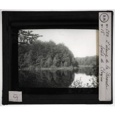 Les Grès bigarrés du département des Vosges. Particularités géologiques et agricoles de la Vôge. L' Etang de la Picarde, forêt de Clerjus.