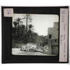 Cultures diverses. Oasis aux environs de Biskra.