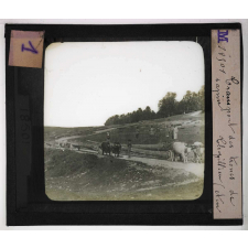 Produits des forêts. Transport des troncs de sapin. Thezillieu (Ain).