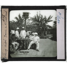 Le Dahomey. Géographie physique - Flore et faune. Ouidah. Jardin du Commissariat.