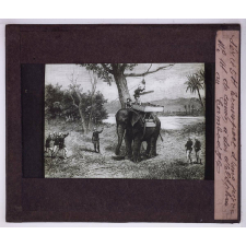 Art Militaire. Transport d'une pièce de canon à dos d'éléphant au Cambodge.
