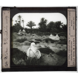 Sahara. Biskra. Le Cimetière arabe.