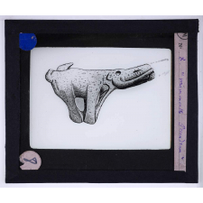 Art paléolithique. Mammouth Peccadeau.