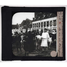 La Vie en Bretagne. Marché de Guingamp.