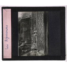 Les Ruines d'Angkor. Les Apsaras.