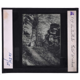 Luxembourg. Mullerthal : forêt et rochers.