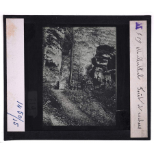 Luxembourg. Mullerthal : forêt et rochers.