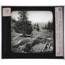 Forêts de France. Feuillus et résineux. Citerne dans les hauts pâturages du Jura.