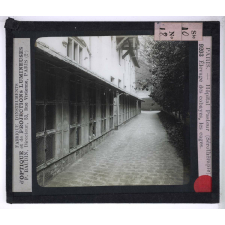 Sérothérapie. Préparation des divers sérums de l'Institut Pasteur de Paris. Élevage des cobayes, les cages.