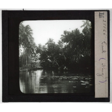 Inde. Tank (étang).