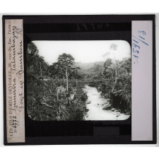 Sumatra. Palambajan. Pont en Bambou.