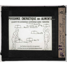 L'Alimentation rationnelle. Puissance énergétique des aliments.