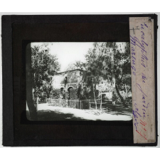 Algérie. Série II. L'oeuvre française. Eucalyptus du jardin Marengo. Alger.