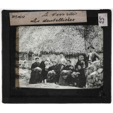 Le Vivarais. Les dentellières.