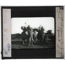 L'Indo-Chine. Cochinchine et Cambodge. Eléphants.