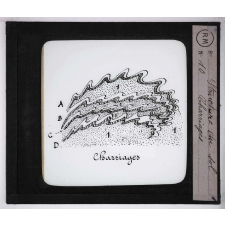 La Structure du sol. Charriages.