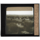Les Hébreux. Galilée. Aïn Saâdé. Route de Nazareth, plaine de St Jean d'Acre.