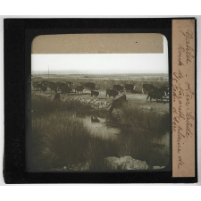 Les Hébreux. Galilée. Aïn Saâdé. Route de Nazareth, plaine de St Jean d'Acre.