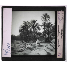Oasis. Biskra. Cimetière arabe.