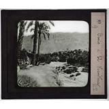 Algérie. Oasis d'El Kantara.
