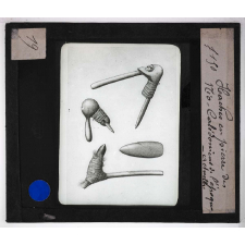 Ère quaternaire, ustensiles, nature, fossiles. Haches en pierres des Néo-Calédoniens de l'époque actuelle.