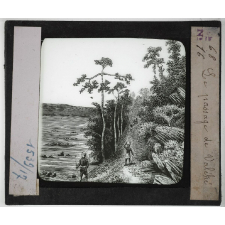 Voyage de Brazza. Le passage de Valéhé.
