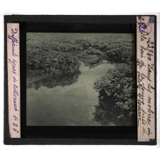 Les Différents types de littoraux. Dans les molières de la baie de la Somme près de St Valery s/ Somme.
