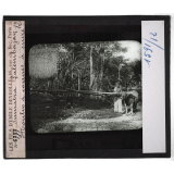 Sumatra. Palembajan. Moulin à cannes à sucre.