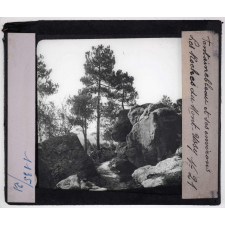 Fontainebleau et ses environs. Les Roches du Mont-Ussy.