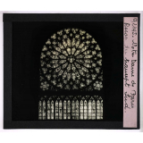 Notre-Dame de Paris. Rosace du transept Sud.