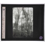 Forêts de France. Feuillus et résineux. Forêt de Fontainebleau. Le Pharamond en hiver.