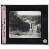 L'Art français du XIXe siècle d'après les collections du Grand-Palais (Exposition universelle de 1900). II Deuxième moitié du siècle. Courbet. Forêt du Jura.