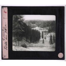 L'Art français du XIXe siècle d'après les collections du Grand-Palais (Exposition universelle de 1900). II Deuxième moitié du siècle. Courbet. Forêt du Jura.