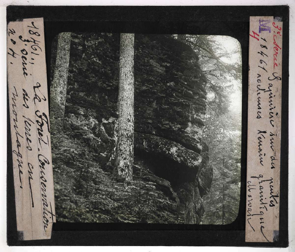 Conservation des terres en montagne et sur les pentes. Action de la forêt sur le sol et sur le régime des eaux, pâturages, prés, bois, correction des torrents. Sapinière sur des pentes rocheuses. Terrain granitique. Morvan.