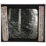 Conservation des terres en montagne et sur les pentes. Action de la forêt sur le sol et sur le régime des eaux, pâturages, prés, bois, correction des torrents. Sapinière sur des pentes rocheuses. Terrain granitique. Morvan.