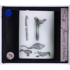 Art paléolithique. Gravures d'oiseaux.