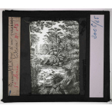 Les Fossiles de l'ère tertiaire et de l'ère quaternaire. Reconstitution d'un paysage tertiaire.