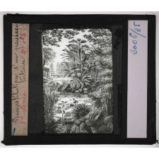 Les Fossiles de l'ère tertiaire et de l'ère quaternaire. Reconstitution d'un paysage tertiaire.