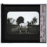 La Culture des céréales. Râteau à cheval.