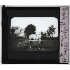 La Culture des céréales. Râteau à cheval.