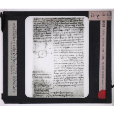 L'Art de voler chez nos ancêtres - Léonard de Vinci, constructeur d'aéroplanes. Ailes, action sur l'air, calcul mathématique.