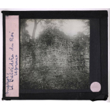 Les Ruines d'Angkor. Le Belvédère du Roi Lépreux.