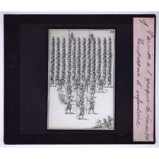 L'Armée à l'époque de Louis XIV. Compagnie d'infanterie.
