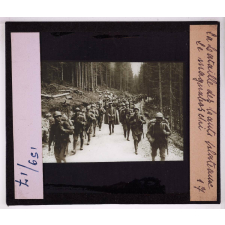 La Bataille des hauts plateaux de l'Adige à la Brenta (mai - juillet 1916). Le Magnaboschi.