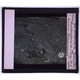 Verdun en février-mars 1916 (en arrière de la bataille). Emplacement de Fleury devant Douaumont.