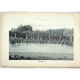Collège de Jeunes Filles - Coutances. (Manche). 1929.