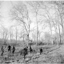 Ecole Freinet, classe promenade : un groupe d'élèves à l'orée d'une forêt.