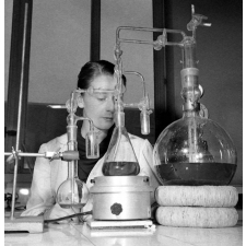 Faculté de sciences : les travaux pratiques en chimie.