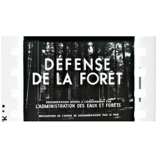 Défense de la forêt.