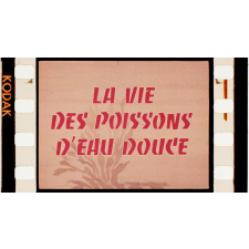 La Vie des poissons d'eau douce.